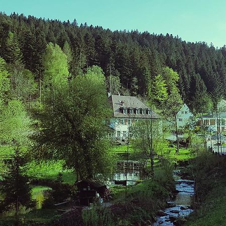 Gut Lauterbad Hotel فرودنستاد المظهر الخارجي الصورة