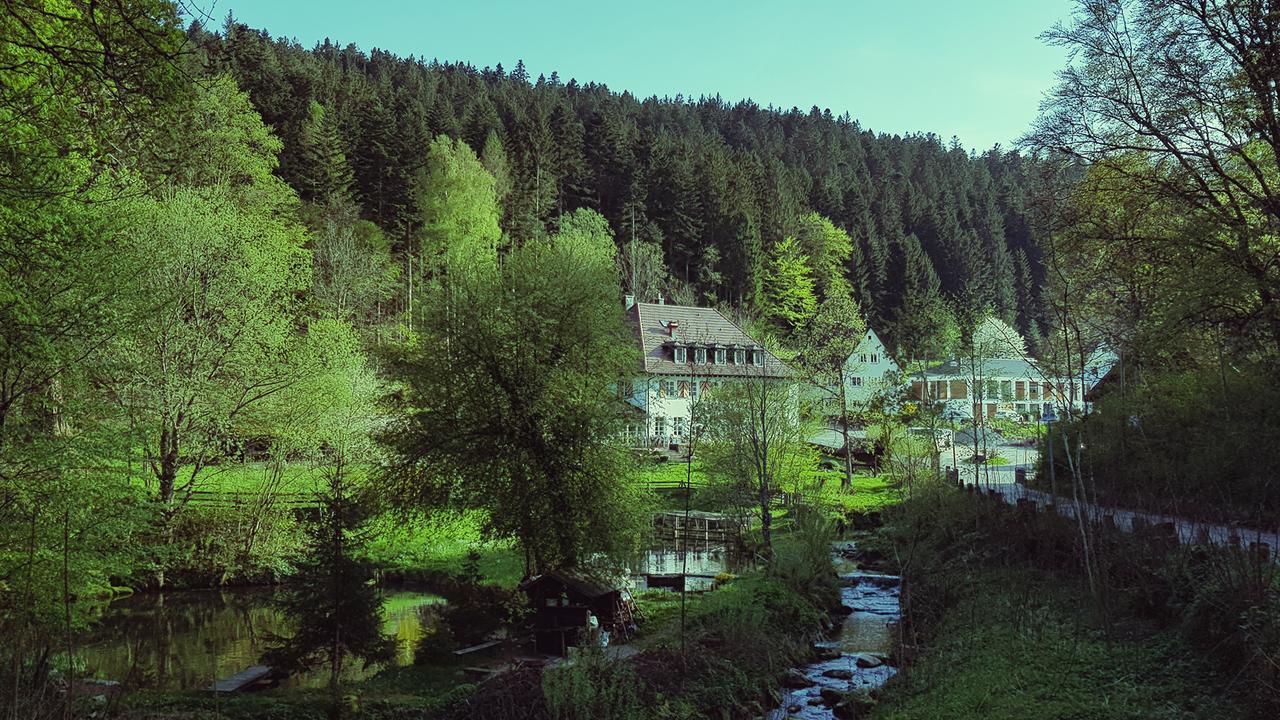 Gut Lauterbad Hotel فرودنستاد المظهر الخارجي الصورة